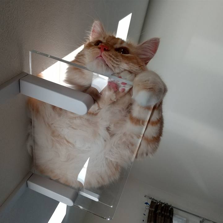 1229a7a5 8dae 4b79 874d 94bd0ae9f925 1627775220645