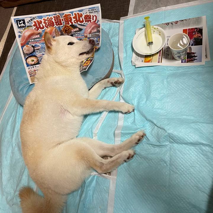 1229b693 4795 40c1 92eb d2c2f1bc4de9 1653664536195