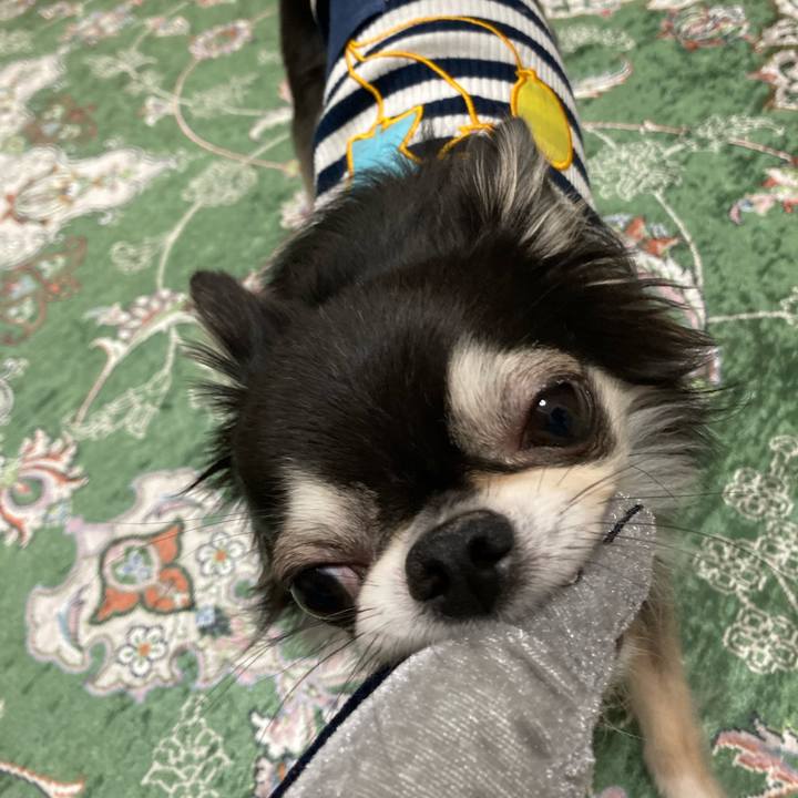 1229ec01 ee3e 42c3 ae3f d13462a709a4 1653745603654