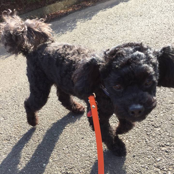 1229f296 c359 4bbc affd 657439e71efe 1520689275809