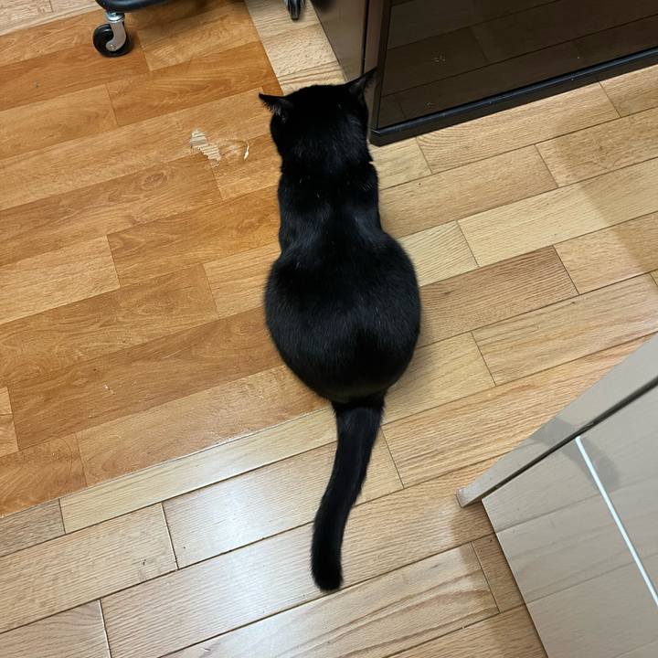 122a23db f121 4fc8 8a68 0b63b90cbe60 1679577549318