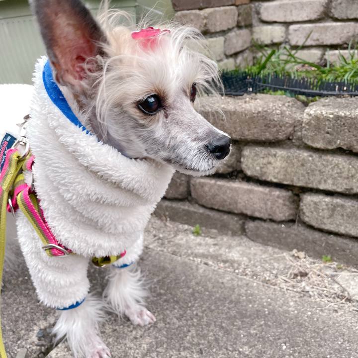 122a39a3 7cad 4eab ae77 53bc51cd9d1f 1771235704659