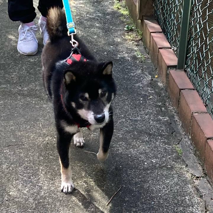 122a3be0 050c 43ef a0c3 c2b2e05fdb3d 1633919655291