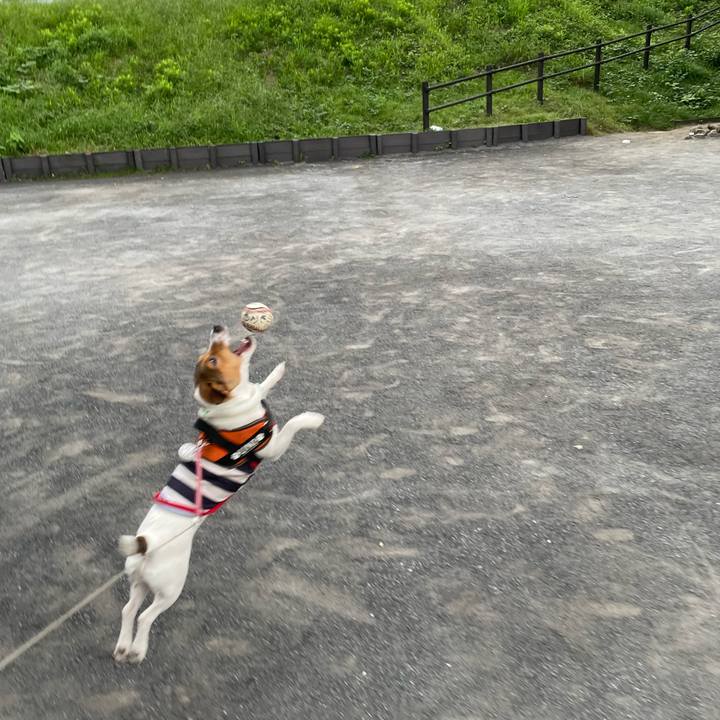 122a4c89 89dd 479a 8442 0a335093ebc7 1695252806674