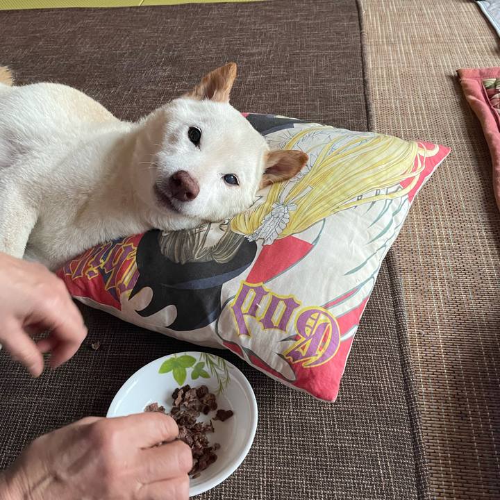 122a7ee9 4610 44bb 8d9e 9b57dd24d834 1661346693981