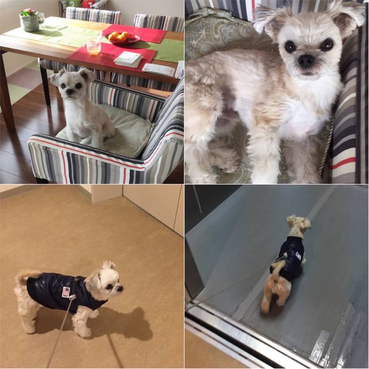 122a9b94 1580 410e 9f41 e2f2691fda5a 1545812377670