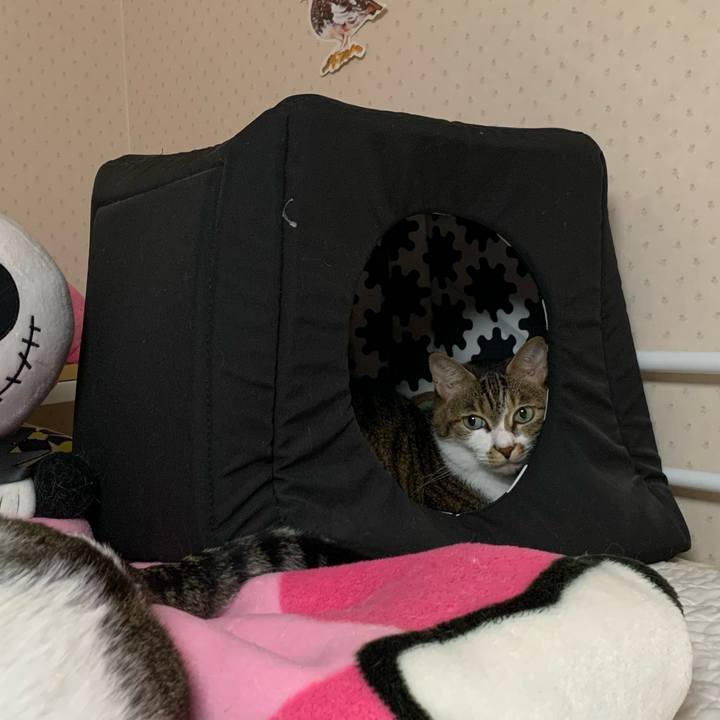 122ab3b3 cdfd 4b4d 90a7 74acb6d1a661 1602344134504