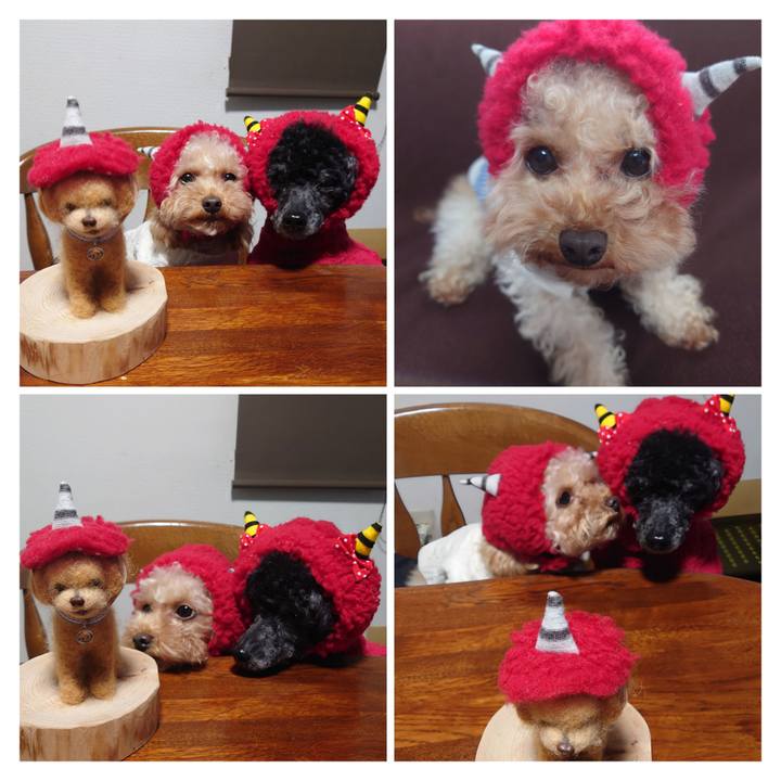 122af052 70f2 4a11 a456 31a7d02fb10e 1770099268003