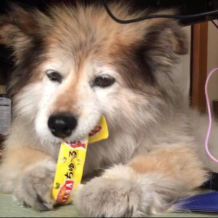 122b6049 430d 4d22 a1a6 c018ef945a02 1549581812127