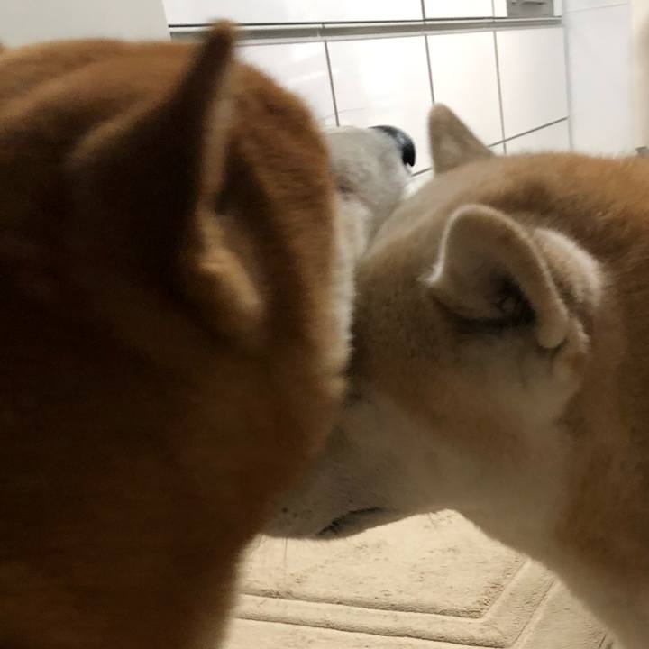 122bd82e 8074 4c22 a359 7241bb83e2e4 1572934650868