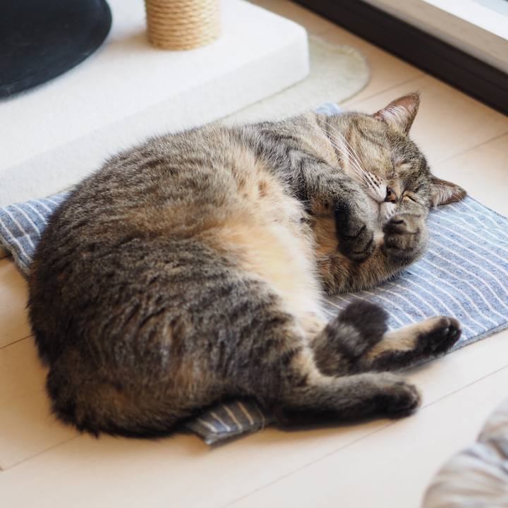 122c08dd 3de5 4bc0 9824 350b26d59ee3 1558050041447