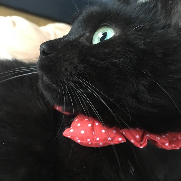 122c1bc7 7995 4576 a588 79f598d801f5 1548486660365