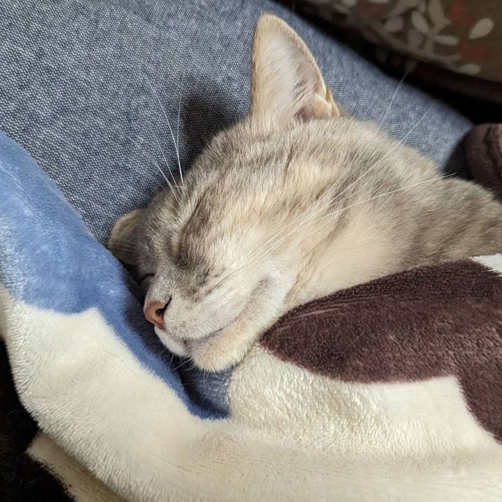 122c1c82 d5f3 4674 8ee5 aaa0085991af 1700968675139