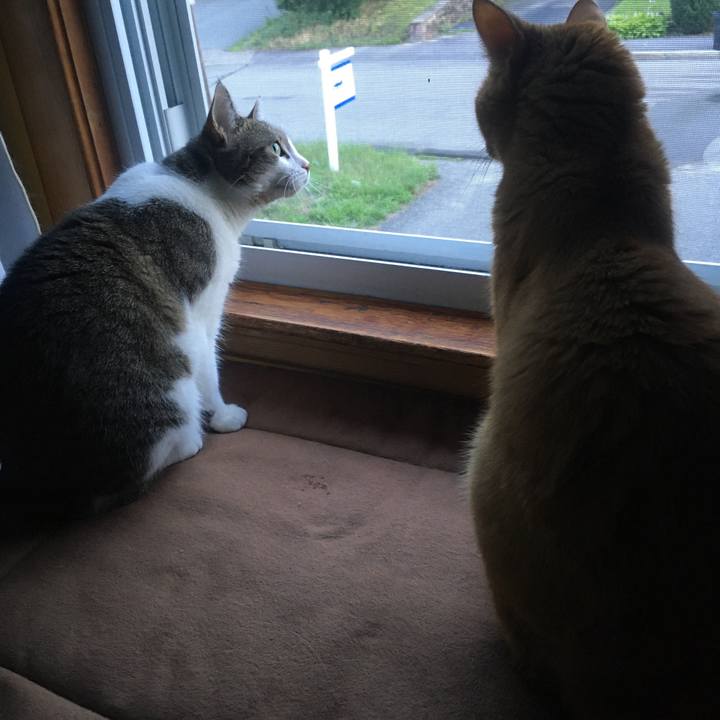 122c21ba a0e1 43ff bb3e c70c92d78ca4 1633793078765