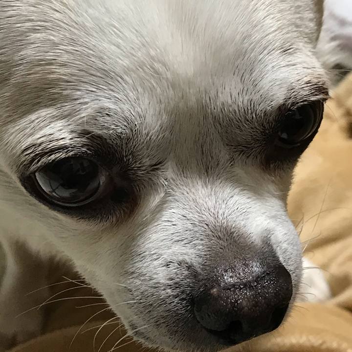 122c40a7 0700 48c7 8958 ac55efbe468f 1604399767649