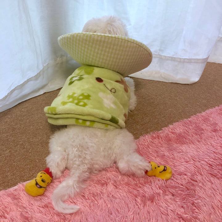 122c4590 f0f9 4eca bd56 d471f7b87d8a 1542873916016