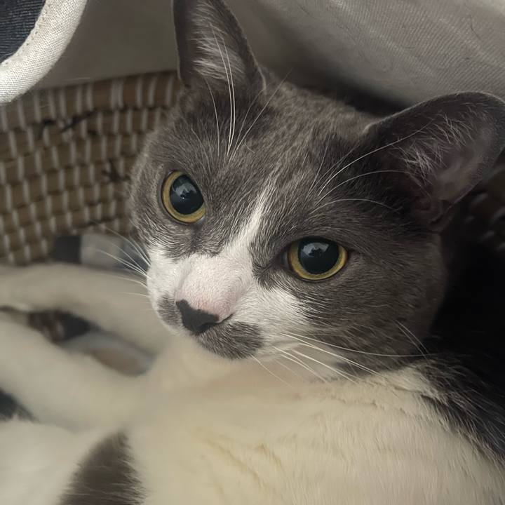 122c56db 7e66 433e a36b fbc63ee08795 1716076050057