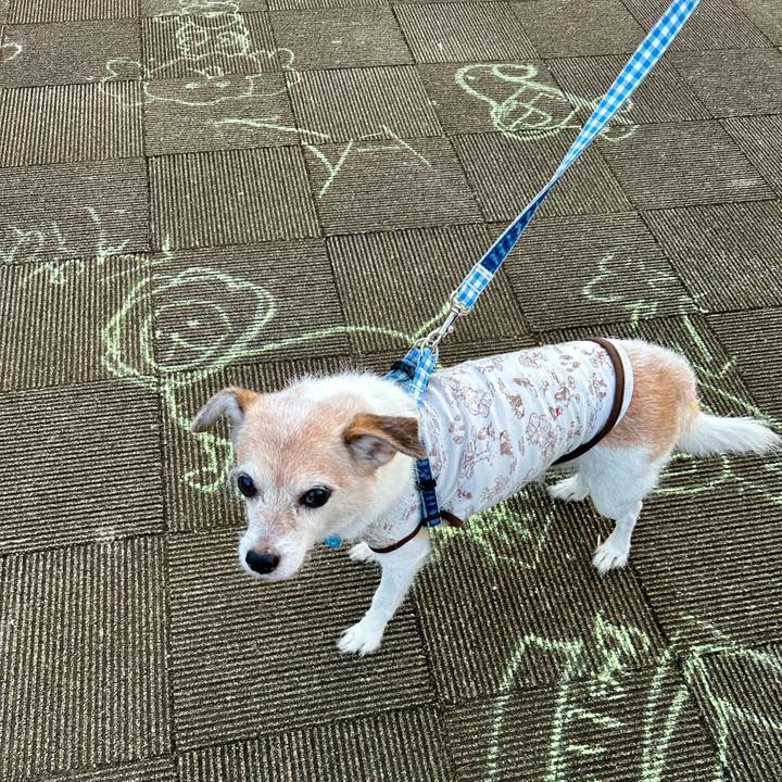 122c9e9c ff7a 45f3 b8f7 aaa31d232c3f 1728262914355