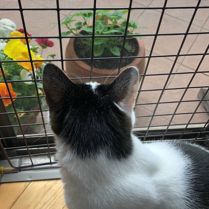 122cccf2 ec0b 45ed 9a7c 7d514ed94b8b 1713770477528