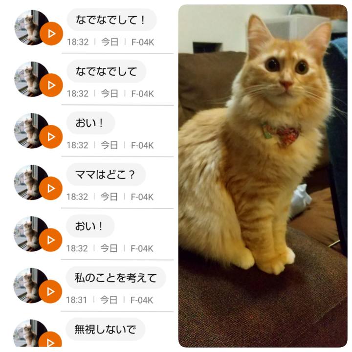 122cdc90 5e3d 4861 abb2 f03ec29de04f 1633686518414