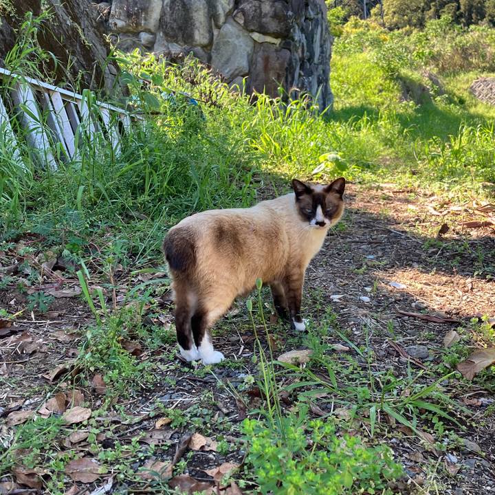 122ce1d9 42e0 43ff b8cd 359a596beb4f 1764057106883