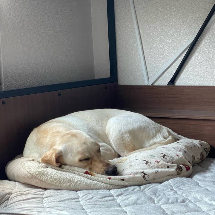 122ce1f8 72c6 4e63 b5b9 badd06277b42 1655357012668