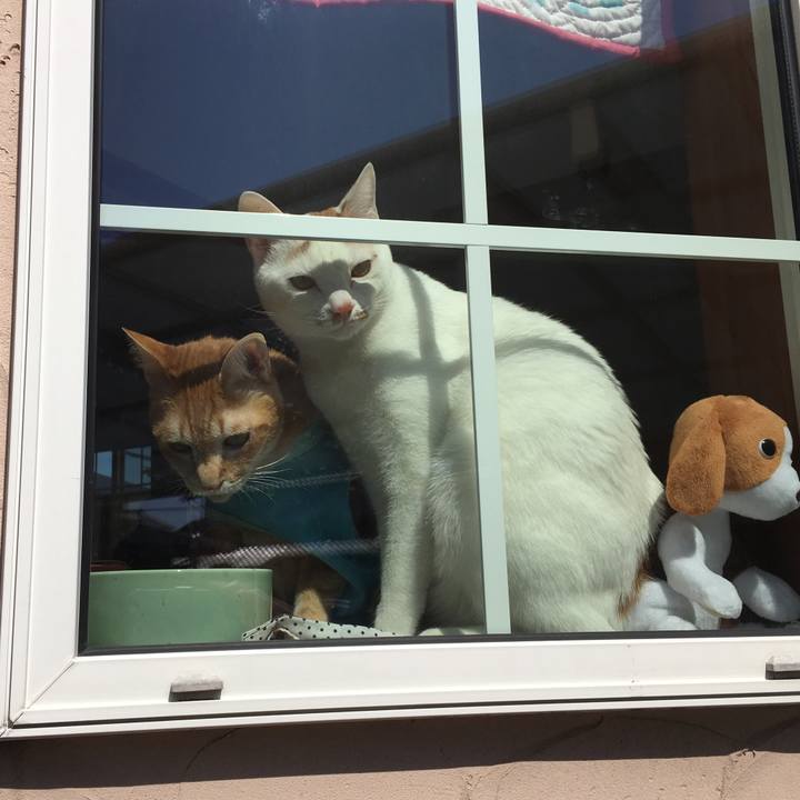 122cf45f 881b 4c0e ac0a 4bc1d90e7340 1520659524796