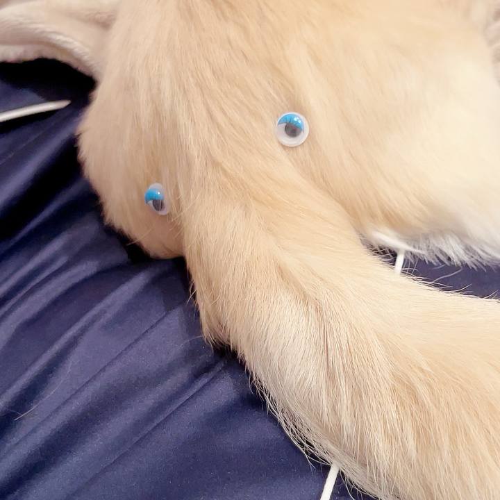 122d194e 4983 4249 8064 6b6544f96e94 1687528484264