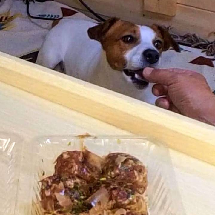 122d370e 5c24 4701 bbfe 40fa0c175d9e 1739746781193