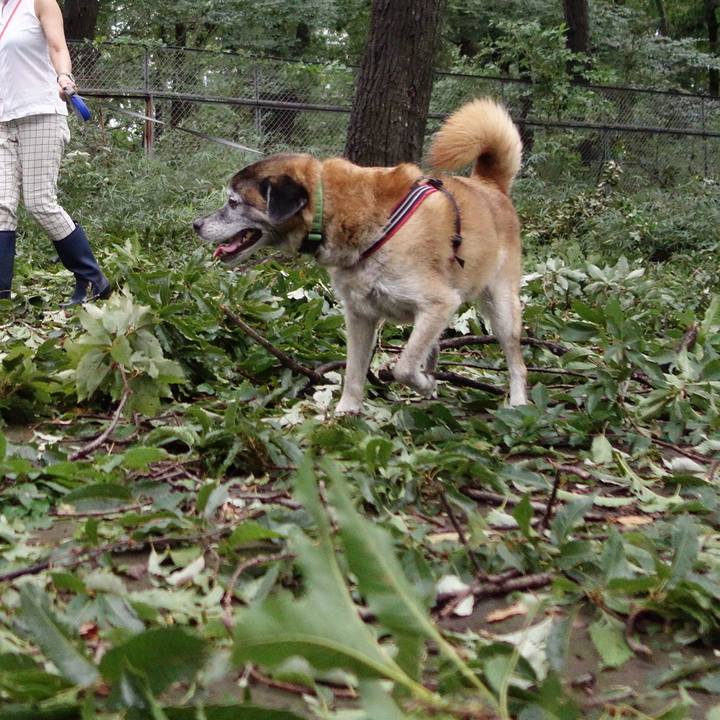 122d9885 ce1b 4dfe bc27 14f15532f6ee 1567989078116