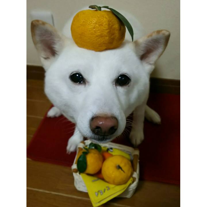 122dbcc6 300b 4835 9c6f fe7d2674a0ea 1576750975717