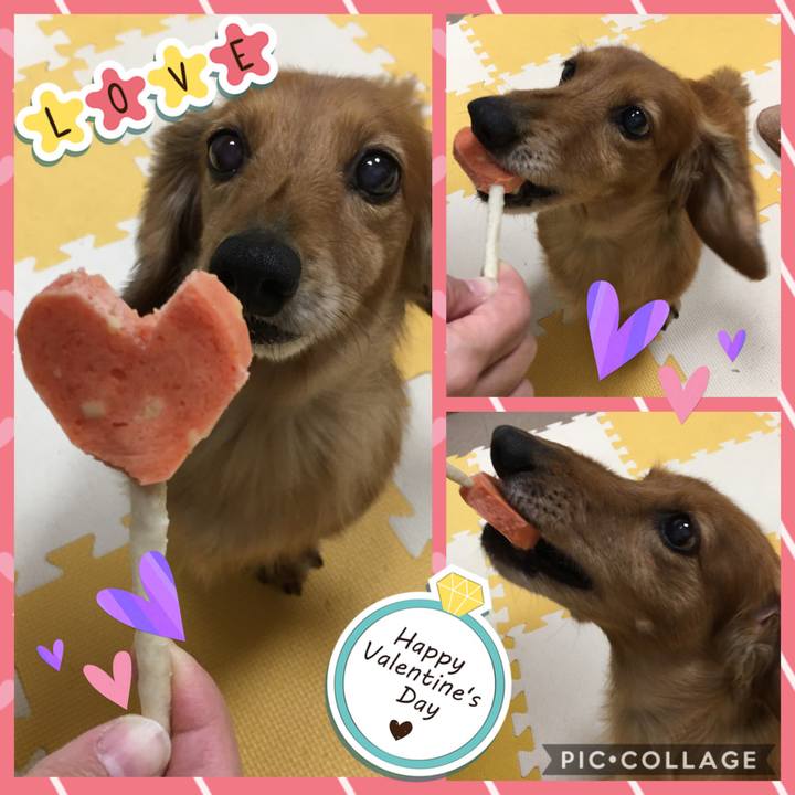 122dcd65 047f 4127 8aea 3685eee35a2f 1581687891366