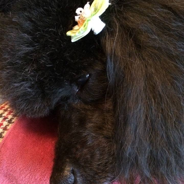 122dd9a0 78cf 4565 9053 9d66b4df091c 1520570899418