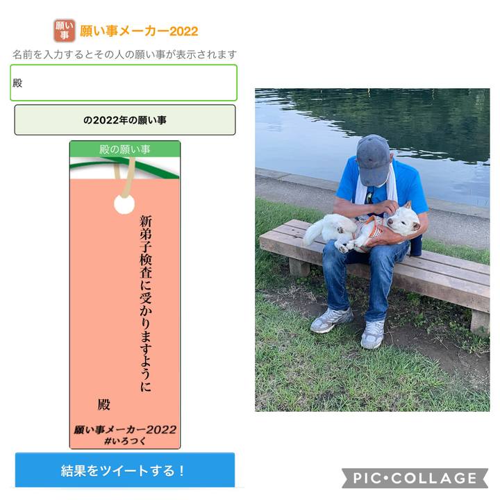 122ddf36 0a40 4036 b2cc f3565c6d7595 1657202572132