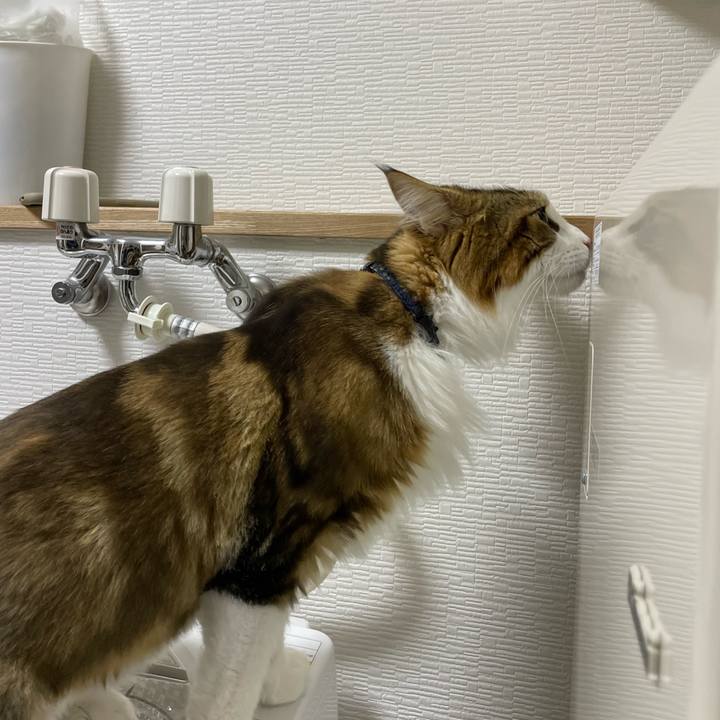 122de106 12dc 4de8 b5b5 3e4fa55d71bc 1661722413291