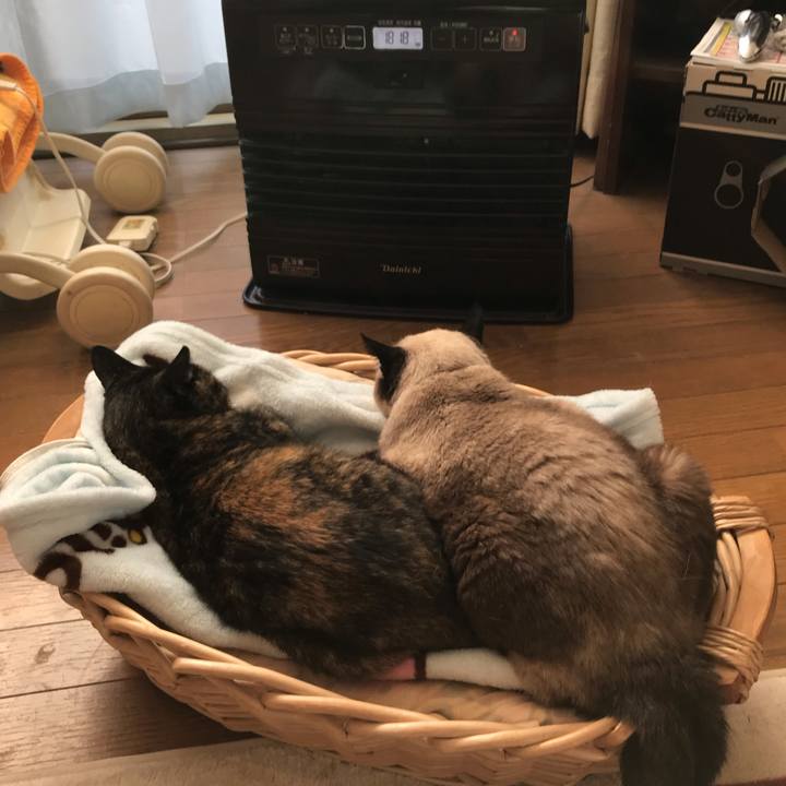 122dff50 2763 47b7 a8fa dd674f8f8f60 1605140097596