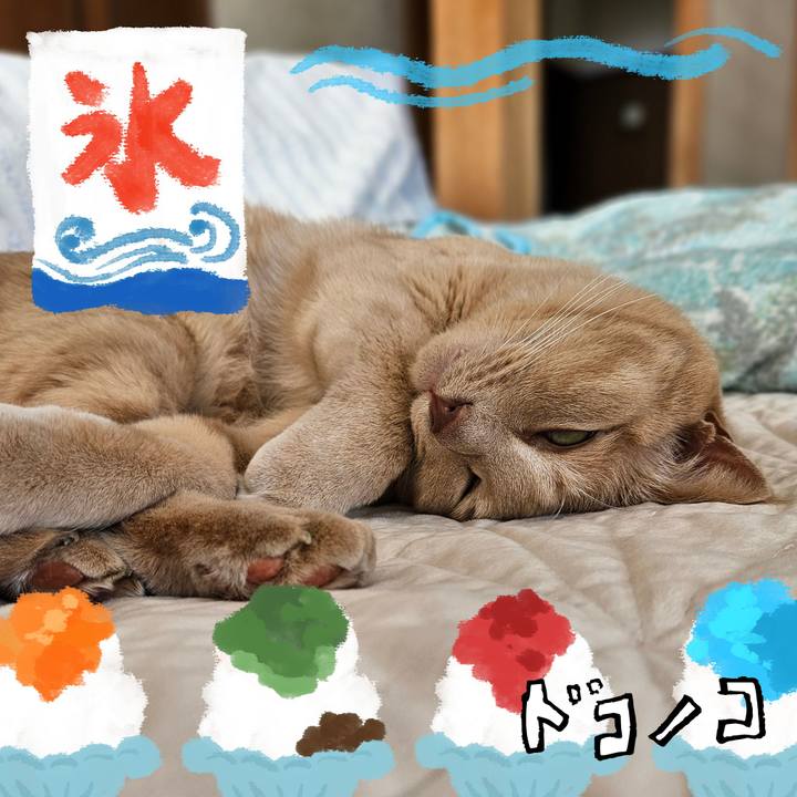 122e5822 4f2c 4ec1 b253 cefadb64f535 1723267686628