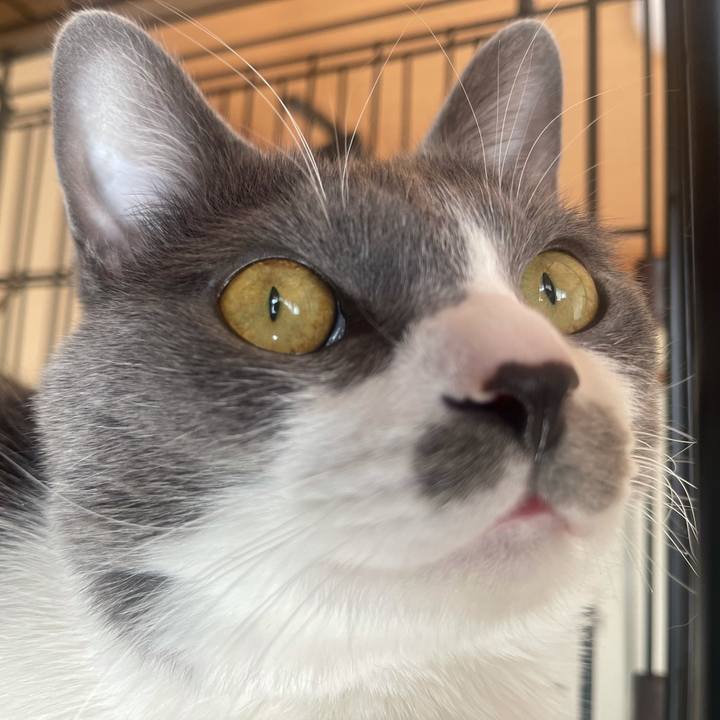 122e6a4d 3571 450a 8be0 71bc7b69df79 1644629213559