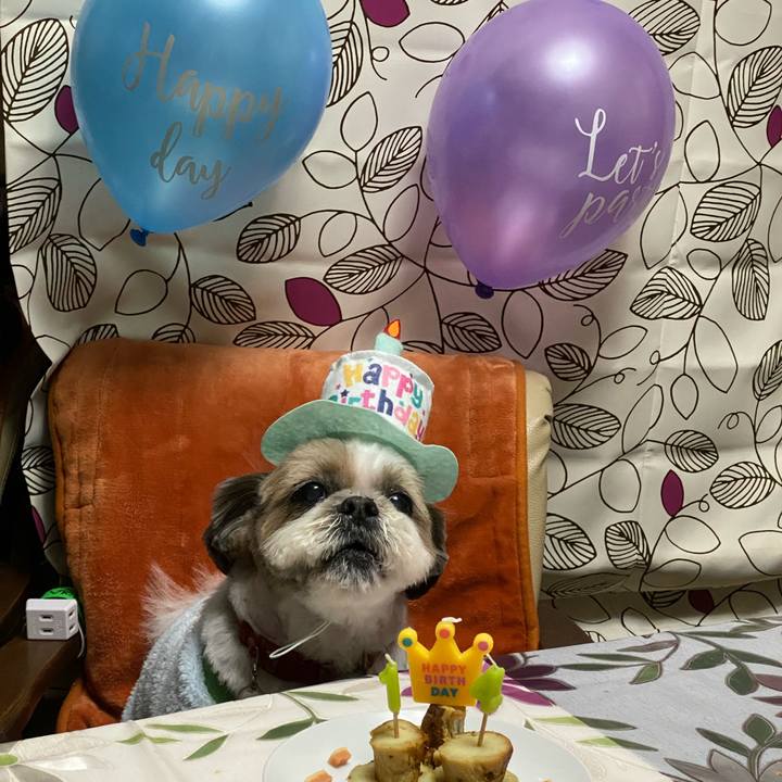 122e77b1 3114 466b 82a9 15d4d2d97c10 1643453570121