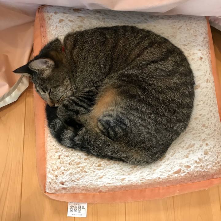 122e874b 521e 4d2a bee2 7de2b3449d4b 1537326187071