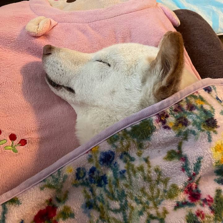 122ed1d2 8540 4c63 8790 a62c3f001676 1636773680371