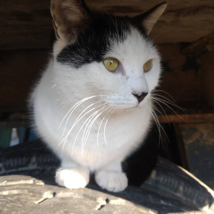 122ed7b3 e568 47c7 82a0 d7dc6770e50a 1733096272595