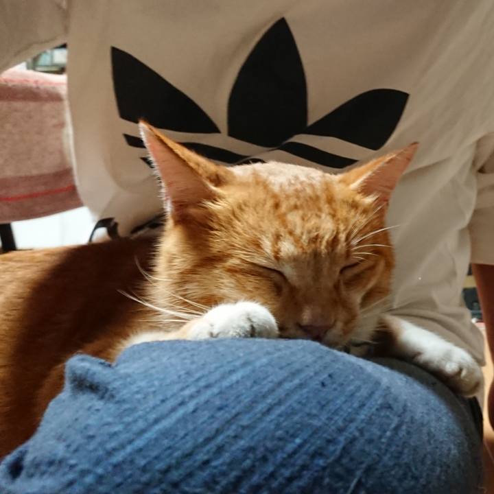 122efc39 135c 4678 8fc0 ee1c785d3ec3 1600374198667