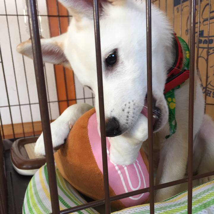 122f2dfb 7372 427e 98d5 5c0293610dab 1507761104240