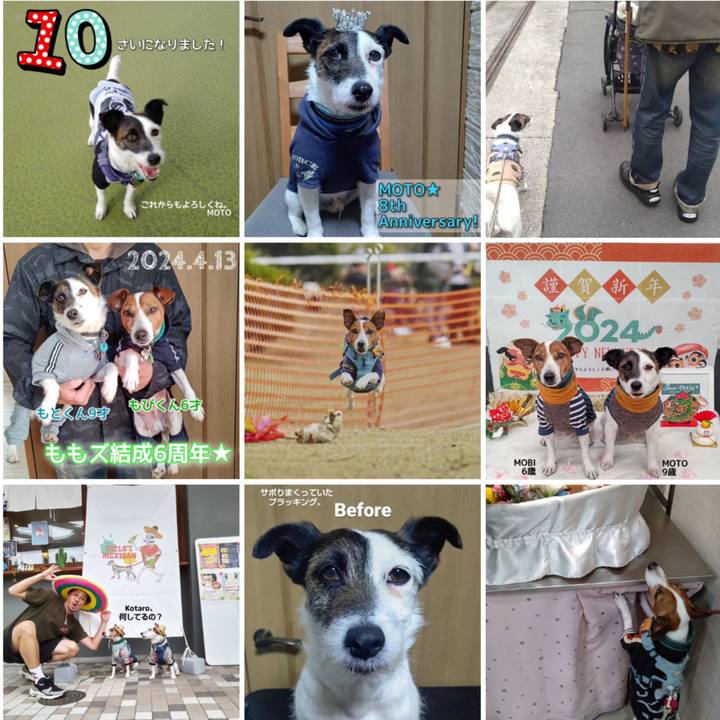 122f6052 026e 4c6e 91f9 739fca209ab9 1735651075299