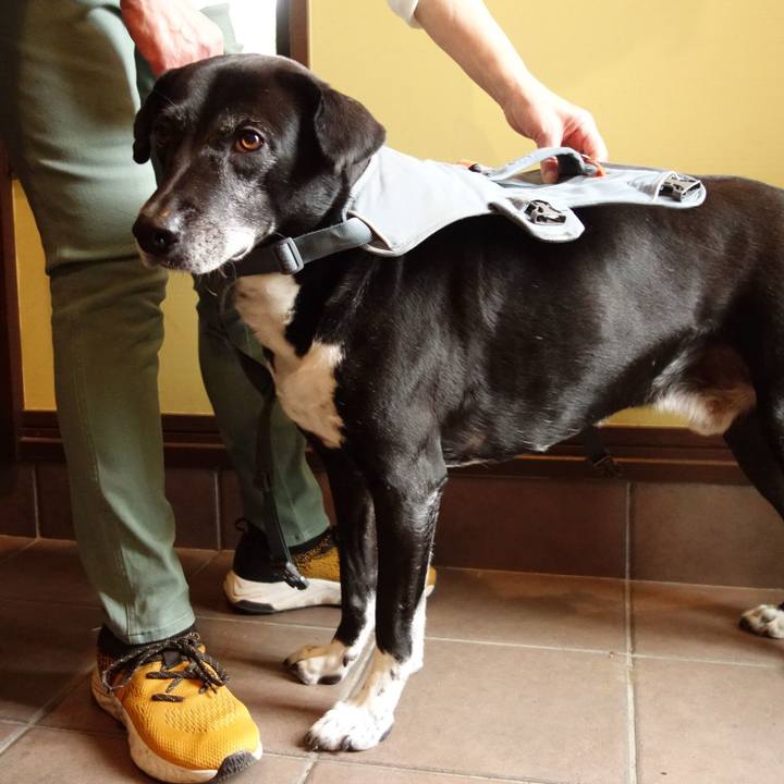 122f7a17 ab70 4cc7 8289 a8219d0e0535 1746664447438