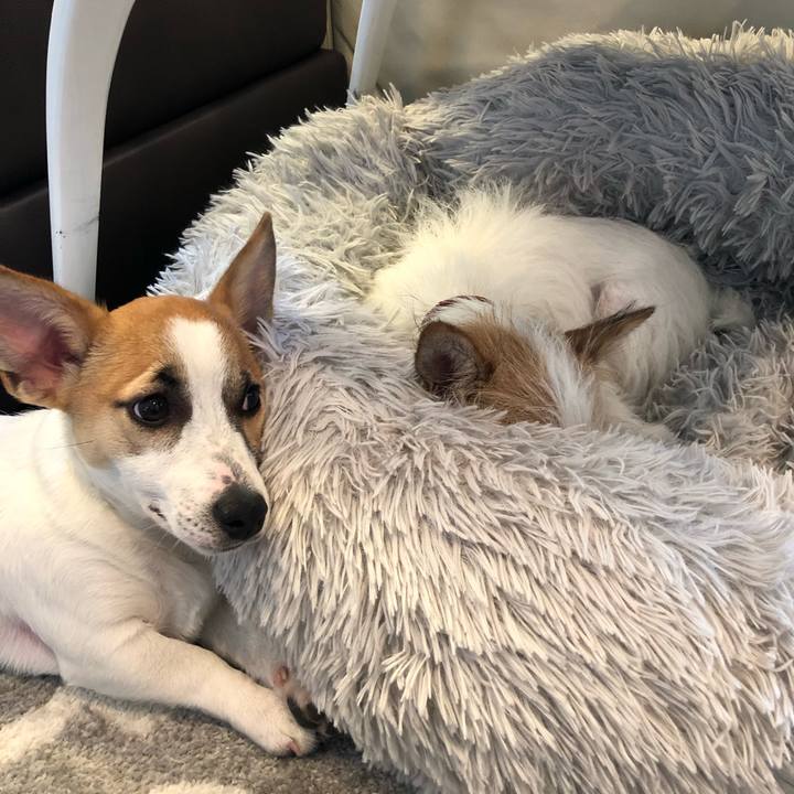 122f7fc3 bd1d 4db5 a265 35b8cc317d06 1553474849136