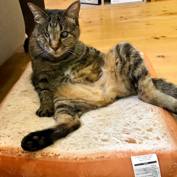 122f8446 d2b1 4daa ae32 4b5dddc9bfa4 1562417661181