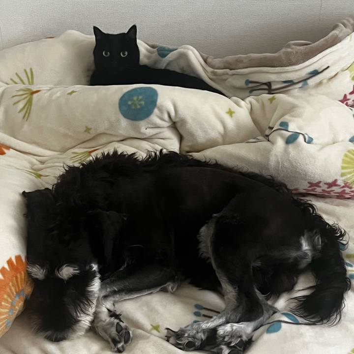 122f8f6d 0938 469c 8d5a cb508d39803d 1766402240557