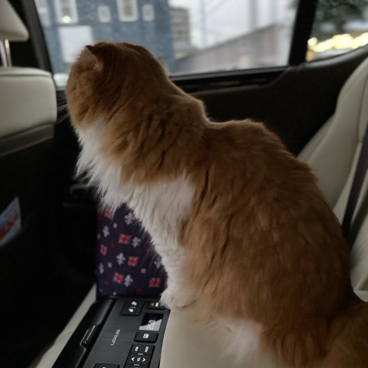 122fa3a3 4d4e 421d b04e 73239453ad7e 1604378658267